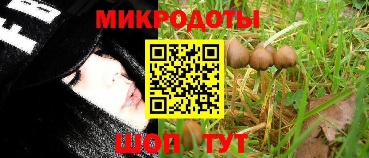 Псилоцибиновые грибы Cubensis Чайковский